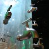 SH_D3_1 (30)